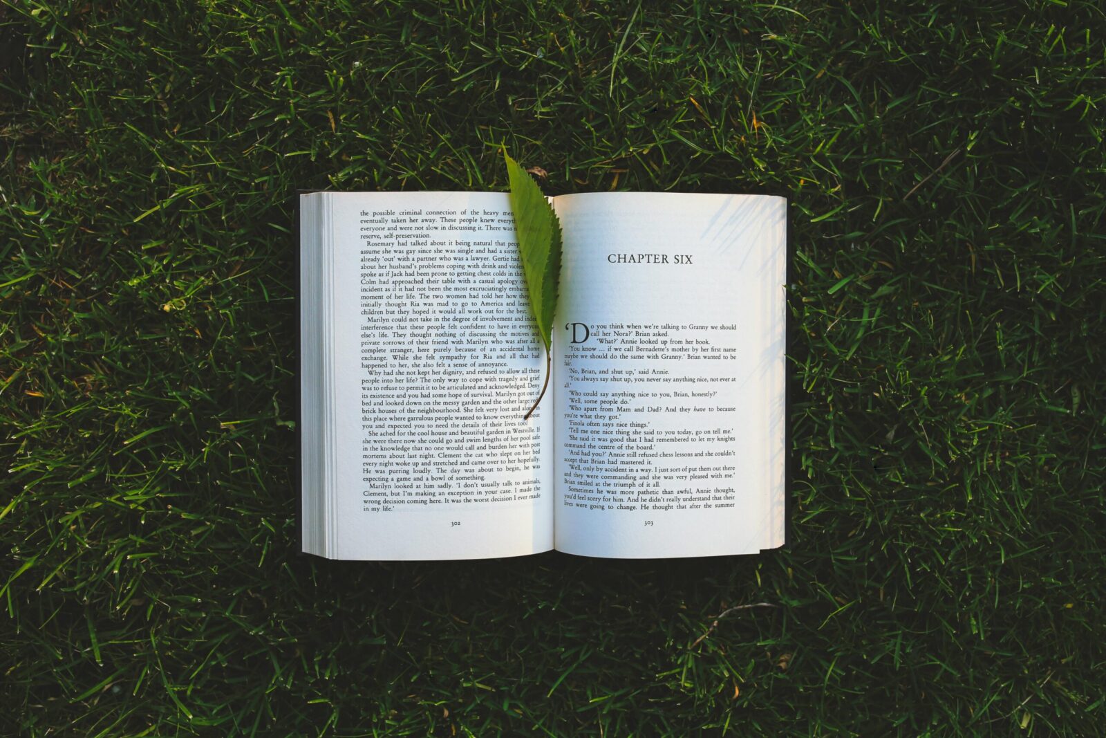 An open book lies on the grassy field with a leaf, evoking relaxation and summer reading vibes.